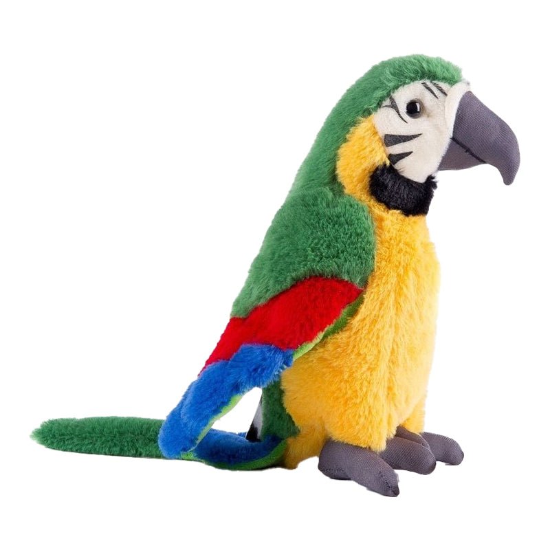 Interactive Parrot Toy Mimics Voices and Boosts Early Speech Skills - Babies Mall